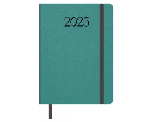 AGENDA 2025 MANHATTAN DIA PAGINA 14 X 20 CM COLOR VERDE 12869 - 25 (Espera 4 dias)